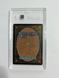 Magic MTG Spider-Man Multiversal Passage Scene Borderless Foil #0206 TAG 9 - Image 3