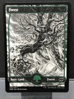 Forest x5 MTG Full Art Innistrad: Crimson Vow # 276/277 - Image 3