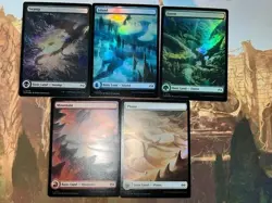 MTG - Tarkir Dragonstorm - TDM - Basic Full Art Lands - Foil - NM - Set of five - Image 1