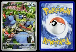 ROOKIDEE 225/193 ILLUSTRATION RARE PALDEA EVOLVED POKEMON HOLO NM - Image 3