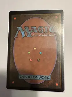 MTG - Misty Rainforest - Modern Horizons 2 - NM - Image 2