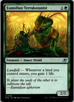 Eumidian Terrabotanist U Edge of Eternities 180 LP - Image 1