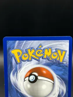 Totodile - #48 - Mega Evolution Promo - Black Star Promo - Pokemon TCG - NM - Image 5
