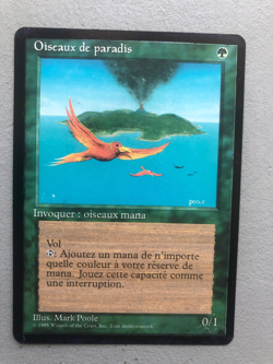 Mtg Carte Magic 4th Birds of Paradise French Damaged - Image 1