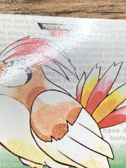 Pokemon Carddass Card Pidgeotto No.17 Bandai Pocket Monsters Green ver. 1996 - Image 5