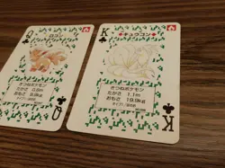 Pokemon Vulpix & Ninetales Green Venusaur Deck Playing Poker Cards - Image 3