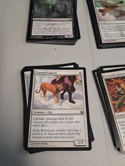 Magic The Gathering Bulk Commons Lot Of Over 400 Cards - Image 3