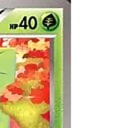 Pokemon Sewaddle C 005/059 BW6 Cold Flare Japanese Card - Image 4