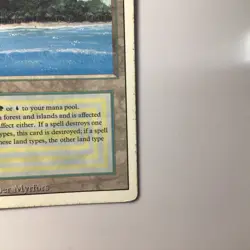 MTG Tropical Island Revised Edition - Rare (d) - Image 3
