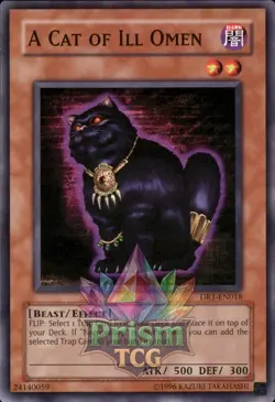 A Cat of Ill Omen DR1-EN018 Yugioh - Image 1