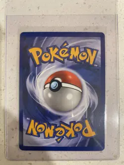 Shining Gyarados 65/64 Neo Revelation Holo Ultra Rare Pokemon TCG English 2000 - Image 4