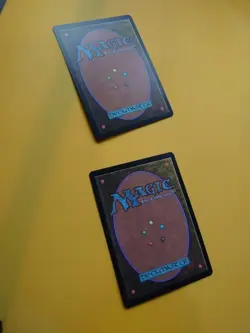 Cavalier of Gales x2 Core Set 2020. M20. Magic the Gathering 2 Card. - Image 5