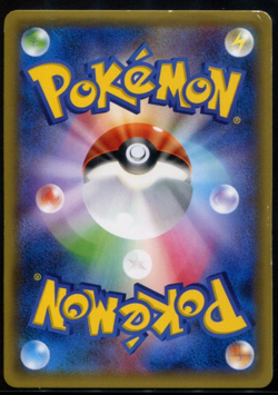 Poncho-Wearing Pikachu Rayquaza 230/XY-P Promo Japanese Played 2016 Pokemon Card - Image 2