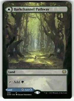 Barkchannel Pathway (Borderless) 290 Rare Kaldheim Magic: The Gathering NM - Image 1
