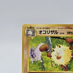 Primeape No. 057 Southern Islands Japanese 1999 Rare Vintage Pokemon TCG NM - Image 3