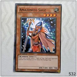 Amazoness Sage - DREV-EN030 - Common 1st Edition Yugioh - Image 1