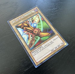 Left Leg of the Forbidden One LCYW-EN303 – Secret Rate 1st Edition – NM - Image 4