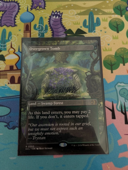 Overgrown Tomb (Borderless) Lorwyn Eclipsed Regular - Image 1
