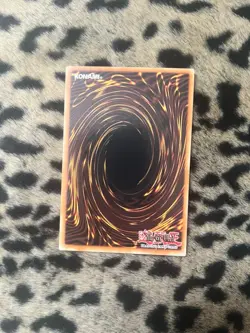 Yu-Gi-Oh! Dark Paladin DMG-001 Secret Rare Limited Edition NM - Image 2