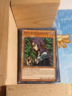 Witch of the Black Forest SDCH-EN016 Structure Deck: Spirit Charmers 1st Edition - Image 1