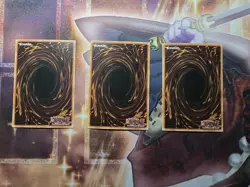3X Yu-Gi-Oh! TCG Caius The Shadow Monarch PGLD-EN066 LP - Image 2