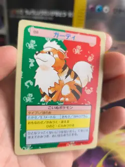 Pokemon Karte Card Topsun 1995 Green back bandai japanese Growlithe Fukano Exc - Image 2