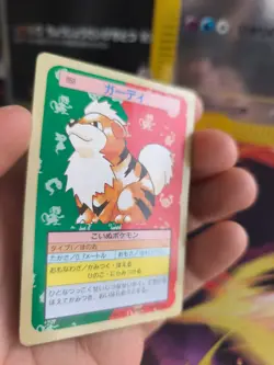 Pokemon Karte Card Topsun 1995 Green back bandai japanese Growlithe Fukano Exc - Image 3
