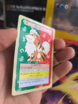 Pokemon Karte Card Topsun 1995 Green back bandai japanese Growlithe Fukano Exc - Image 4