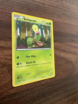 Bellsprout 1/111 XY - Furious Fists Regular - Pokemon Card NM - Image 3