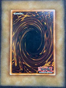 Yugioh Dark Paladin DMG-001 Secret Rare Limited Edition Promo LP - Image 5