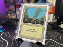 33~ Count NM Vintage BULK MTG LOT Forest Revised Edition Land Cards 1994 + Case - Image 1