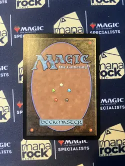 MTG Island - Venezia, Italy - Euro Land (EX/LP) - Image 2