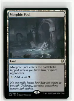 Morphic Pool Baldur's Gate MTG NM - Image 1