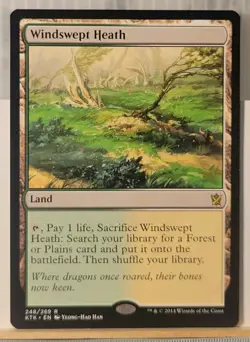 Mtg WINDSWEPT HEATH NM Khans of Tarkir 248/269 -Argo- - Image 1