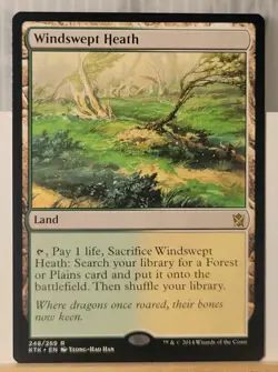 Mtg WINDSWEPT HEATH NM Khans of Tarkir 248/269 -Argo- - Image 3