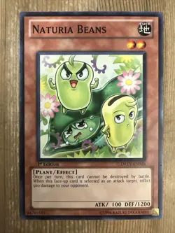 Naturia Beans - DREV-EN028 - Common - 1st Edition x1 - Lightly Played - Image 1