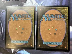 MTG | Dandan 2 Card Set ✨FOIL✨ Secret Lair 2138 & 2139 NM Borderless - Image 2