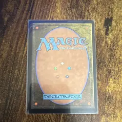 Wizards of the Coast MTG Delina, Wild Mage 317 Rare Showcase Regular English AFR - Image 2