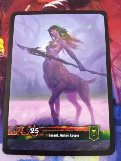 WOW TCG - Druid/Huntress Deck + Extras - Jasani, Shrine Keeper - 70 Cards - Image 1