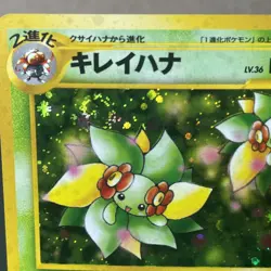 Bellossom Pokemon Card Japanese No.182 Neo Genesis Set Rare Holo SWIRL 🌀LP - Image 2