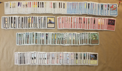 MTG Revised Edition Lot of 348 Cards (HP - X4 Each Common - No Bolt/Rit/R.E.B.) - Image 1