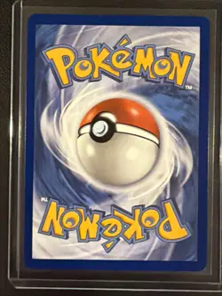 Turtwig 040 Holo Promo ME: Mega Evolution Promo Pokemon Near Mint - Image 2