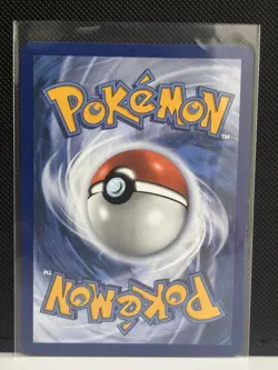 First Partner Series 2 Illustration Collection: Unova Starters Gen 5 Pokemon TCG - Image 3