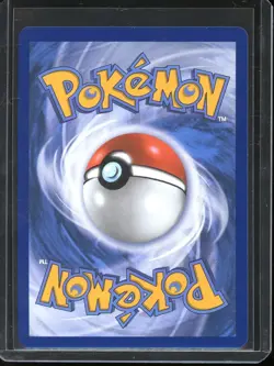 Tepig Pokemon Card (First Partner Series 2 Promo 050) - Image 2