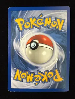 Magcargo - Neo Revelation - 33/64 - Pokemon TCG - LP - Image 4