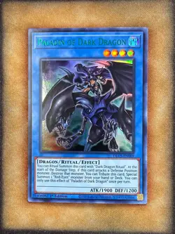 Yugioh Paladin of Dark Dragon DLCS-EN069 Ultra Rare 1st Ed GREEN NM - Image 1