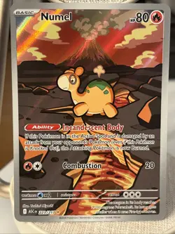 Pokemon TCG Numel IR 223/217, Ascended Heroes, NM Fast Shipping - Image 1