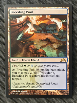 Breeding Pool 240/249 Gatecrash GTC MTG Rare Shock Land LP - Image 1