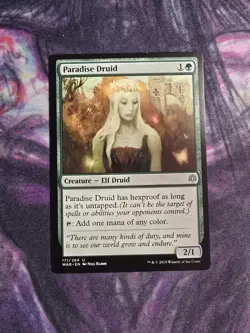 Paradise Druid War of the Spark Regular - Image 1