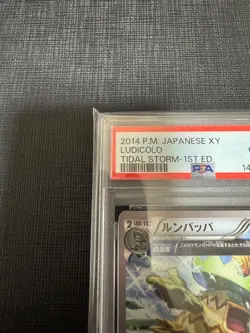 PSA10 Ludicolo U XY5 Tidal Storm 016/070 Pokemon Card Japanese - Image 4